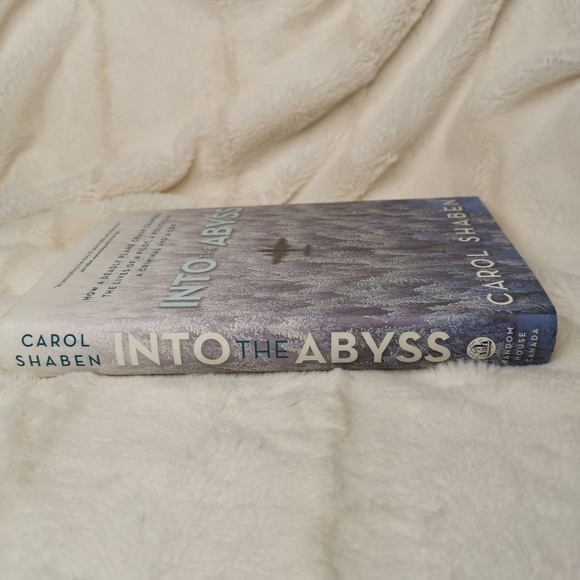 🔥3/$15🔥Into  the Abyss by Carol Shaben Hardcover. - Picture 4 of 5